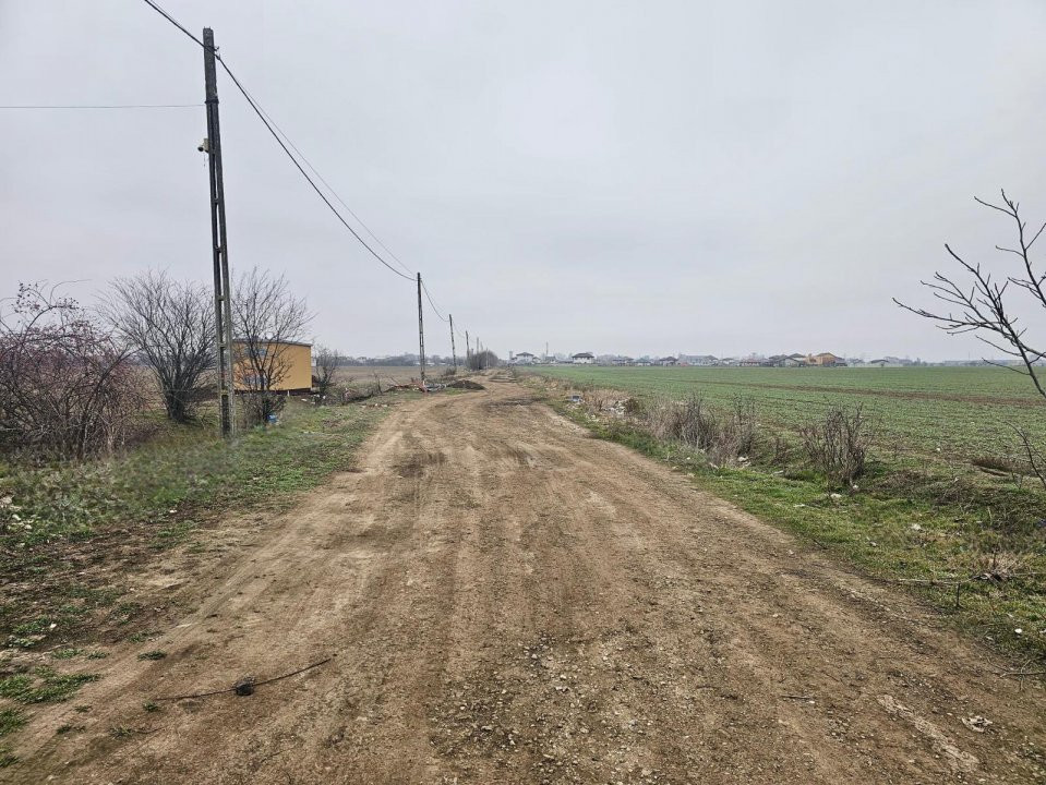 De vânzare loturi de la 500 mp in Măgurele Strada Castanilor