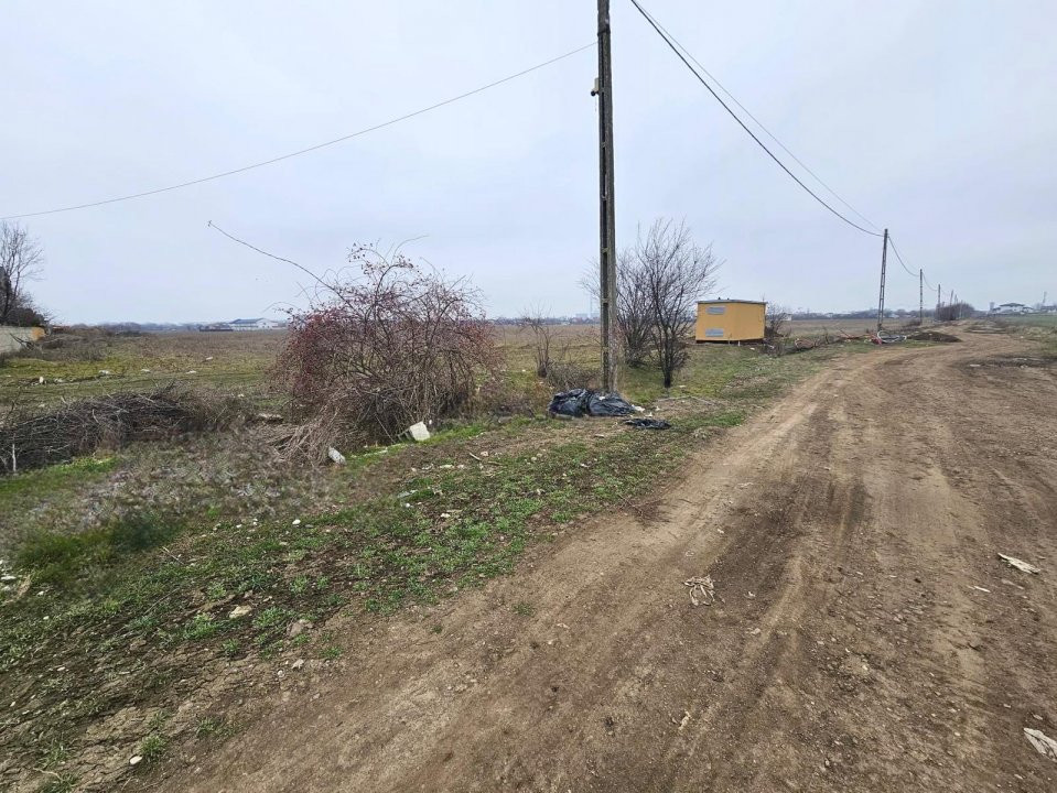 De vânzare loturi de la 500 mp in Măgurele Strada Castanilor