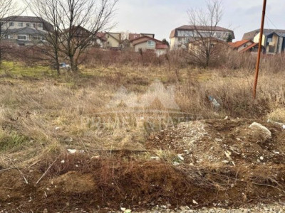 For Sale Land 18,000 sqm Pantelimon, Strada Biruinței - Industrial aria