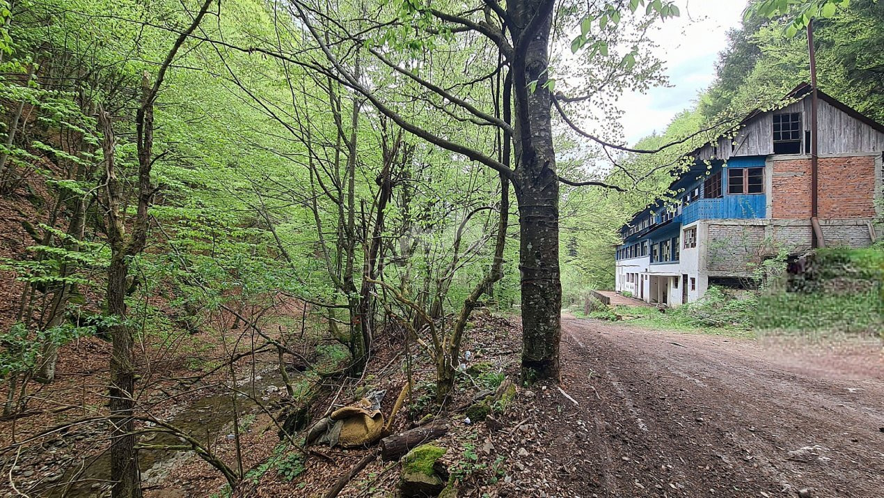 Vanzare pensiune/cabana turistica Tg Jiu Pestisani barajul Vija