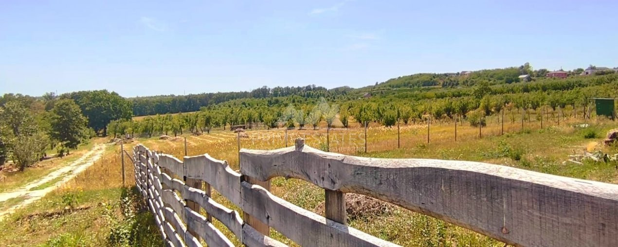 Teren intravilan de vânzare – Paleu, județul Bihor