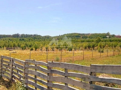Teren intravilan de vânzare – Paleu, județul Bihor
