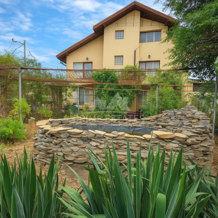 Vanzare vila P+1+M  Sinesti Ialomita  Balta Mostistea