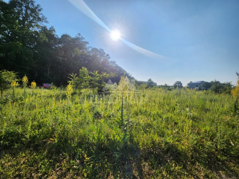 Purchase opportunity 2000 sqm of urban land - sector 1 Greenfield