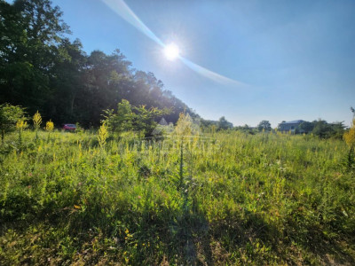 Purchase opportunity 2000 sqm of urban land - sector 1 Greenfield