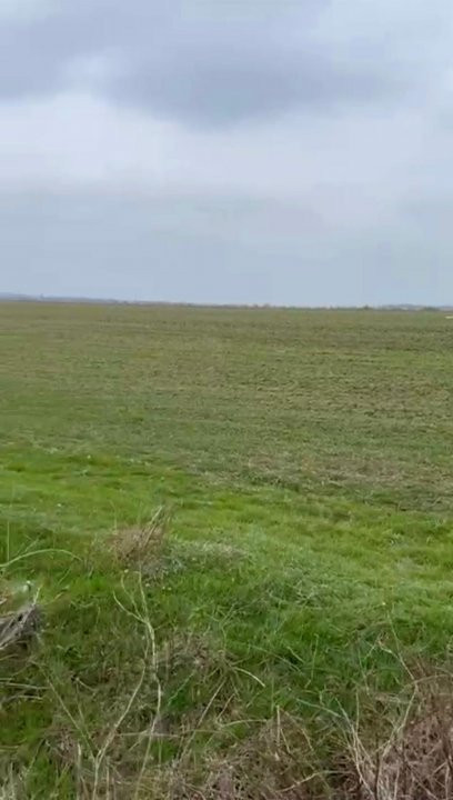 De Vânzare Teren Intravilan 13.630mp, Strada Castanilor Măgurele