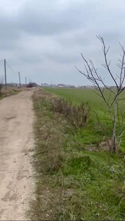 De Vânzare Teren Intravilan 13.630mp, Strada Castanilor Măgurele