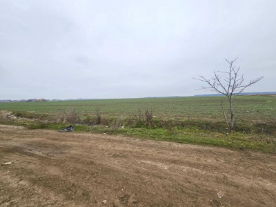 De Vânzare Teren Intravilan 13.630mp, Strada Castanilor Măgurele