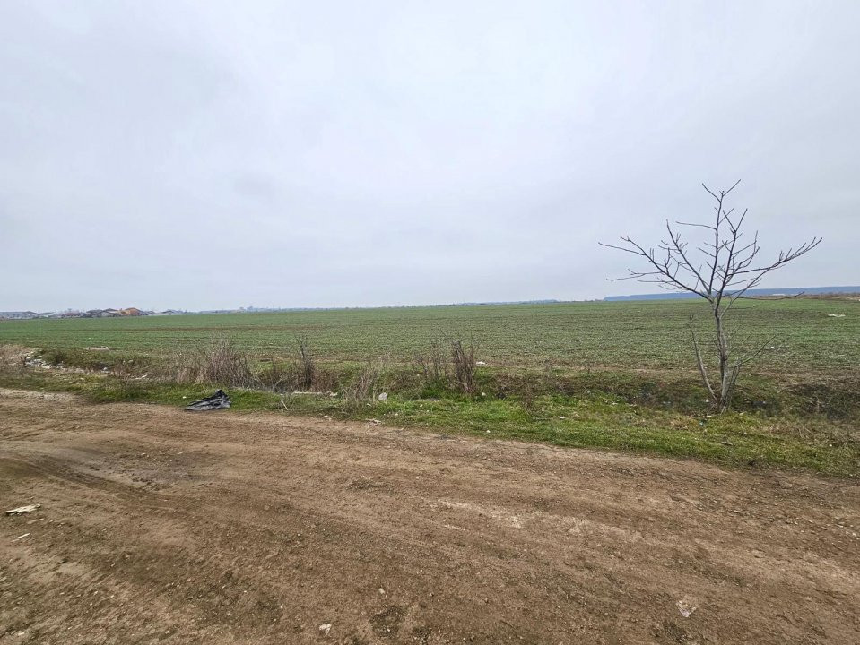 De vânzare loturi de la 500 mp in Măgurele Strada Castanilor