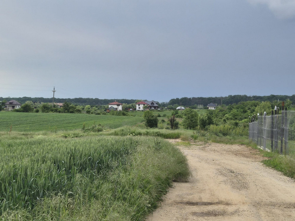 Teren ideal casă de vacanță, oază de liniște si aer curat