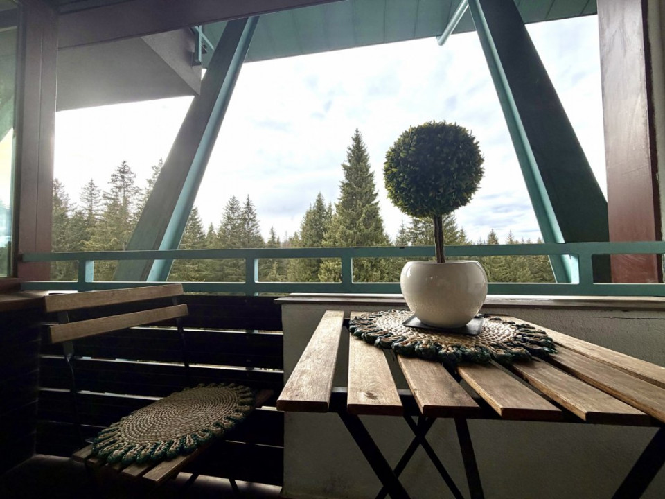 Apartament 2 camere de vanzare in Silver Mountain | Poiana Brasov