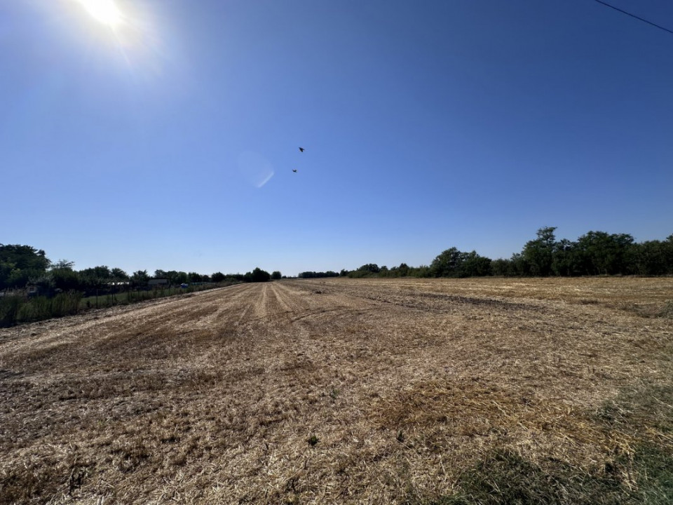 Teren de vânzare | 5.208 mp | Str. Bucegi, Creata – Dascălu
