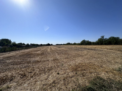 Teren de vânzare | 5.208 mp | Str. Bucegi, Creata – Dascălu