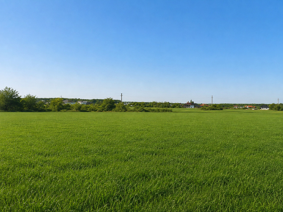 Vanzare Teren intravilan 1.525–4.991 mp | Bălteni – Scroviștea, Ilfov