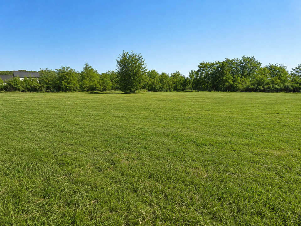 Vanzare Teren intravilan 1.525–4.991 mp | Bălteni – Scroviștea, Ilfov