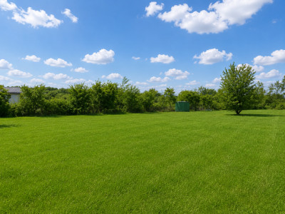 Vanzare Teren intravilan 1.525–4.991 mp | Bălteni – Scroviștea, Ilfov