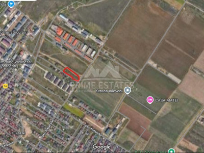 Teren intravilan 3000 mp de inchiriat Fundeni Dobroesti 