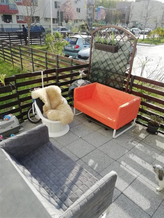 De vanzare Garsoniera cu gradina in Greenfield Baneasa
